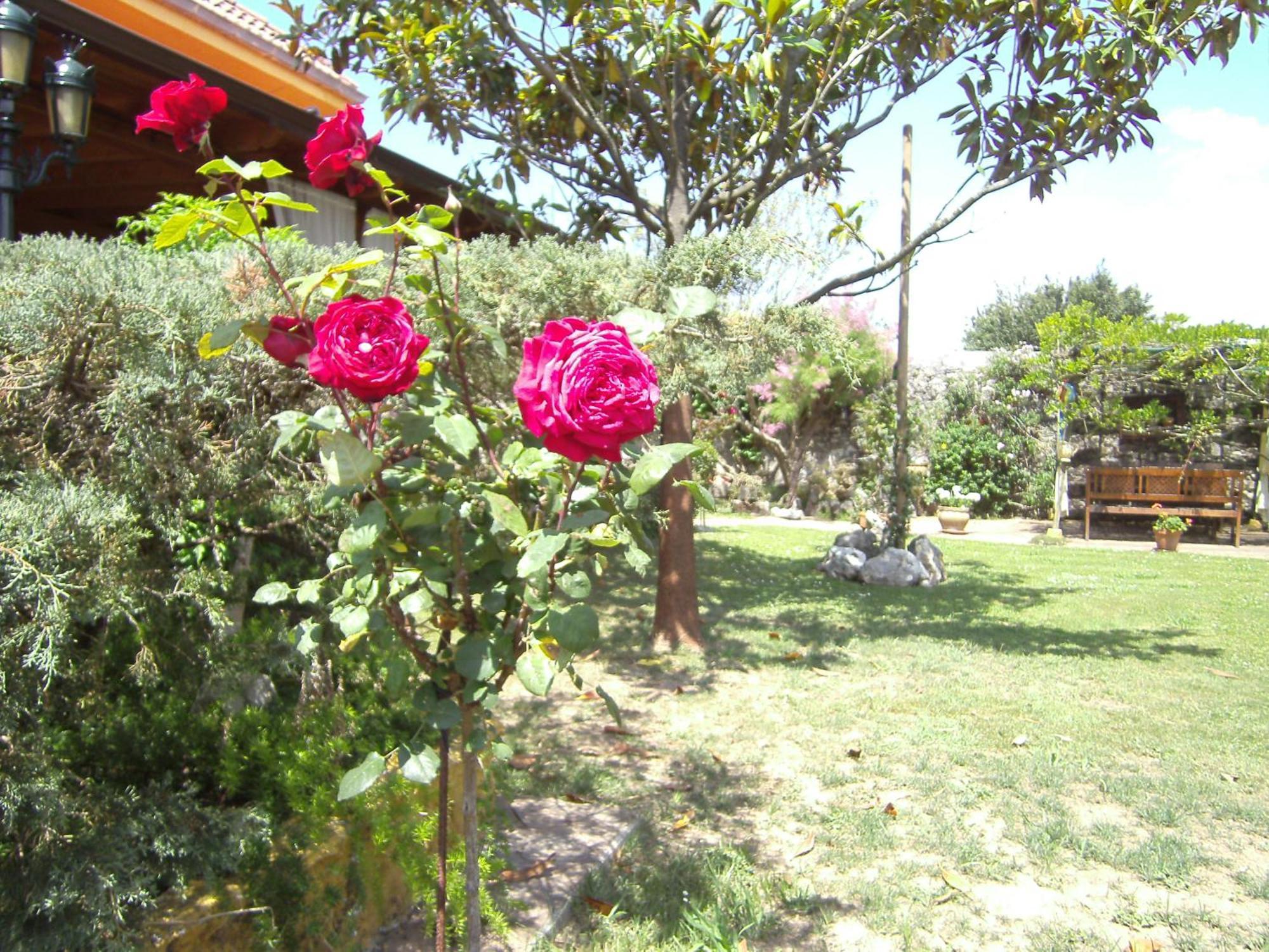 Hosteria Las Fuentes Rubayo Extérieur photo